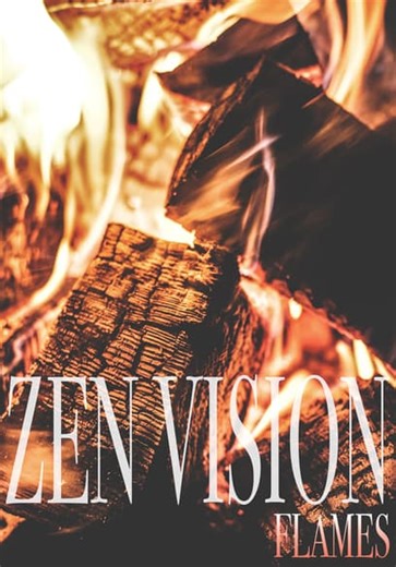 Zen Vision: Flames (2009)