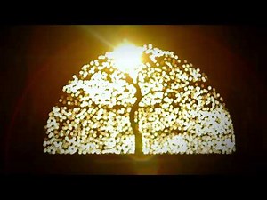 Ahmedabad- India's only World Heritage City