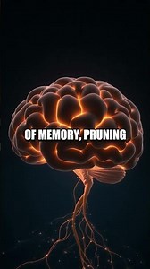 Neural Mysteries Unveiled Five Surprising Brain Revelations