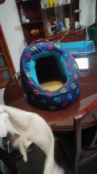 Videos de Alex Ortiz (@alexortiz1216) con “sonido original - Alex Ortiz”