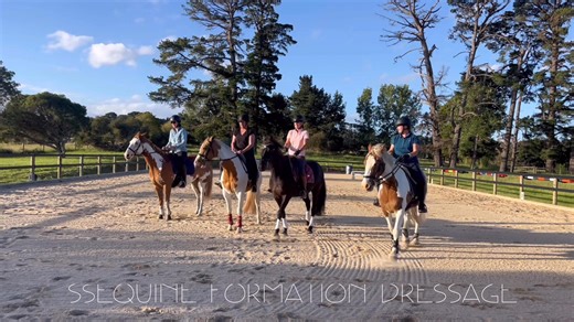 Formation Dressage Session 1 (Summer Team) Half the team had their first session yesterday and we played around with a few of the formations possible. The first few sessions are about riders and horses getting comfortable working together and getting a feel for timing, accuracy, spatial awareness, control and quick thinking without erratic aids. These early sessions are entirely improvisation with the goal being working on a ‘choreographed’ ride in the near future. NONE of these combinations hav