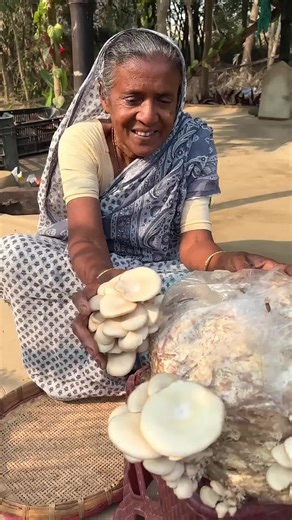 Delicious Homemade Mushroom Curry Recipe