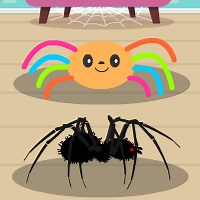 Spider Race Timer
