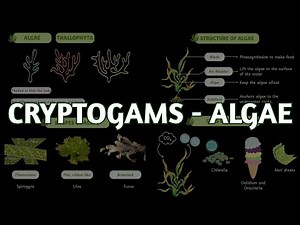 Cryptograms - Algae | Classification of Plants | Grade 9 | Biology | Khan Academy