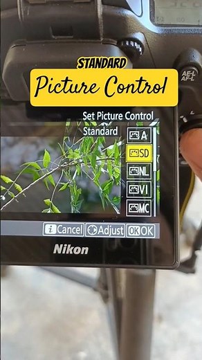 Picture Control in Nikon D7500 photography settings #nikon #nikond7500