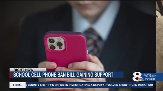 School cell phone ban bill gaining support with some lawmakers