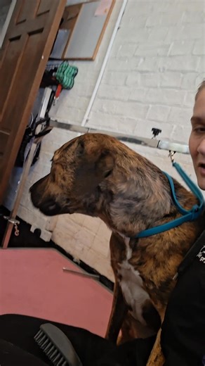 Trying to take a selfie with jess 🤣 | Pearly Paws Dog Grooming