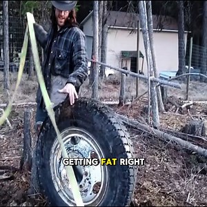 Pulling stumps with a wheel | Ristorante pizzeria trattoria Celestino