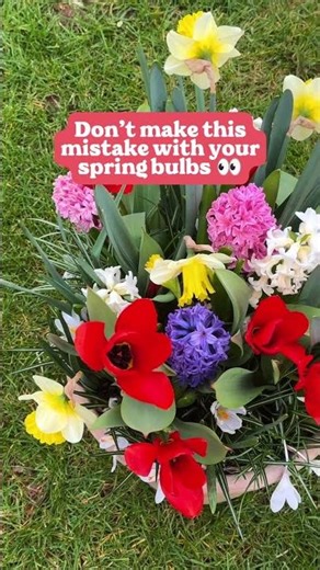 Don't make this mistake with your spring bulbs