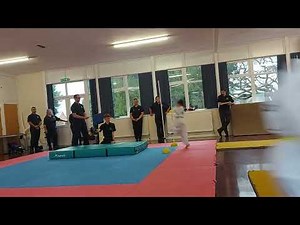 Flying sidekick Taekwondo stomp