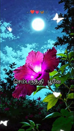 Sembaruthi poove sembaruthi poove song lyrics 💗🦋 l #sembaruthi #poove #lovestatus #lovelyrics #love