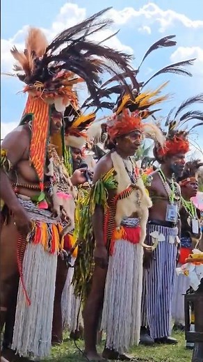 🇵🇬 Jiwaka Traditional Dancers ✨️