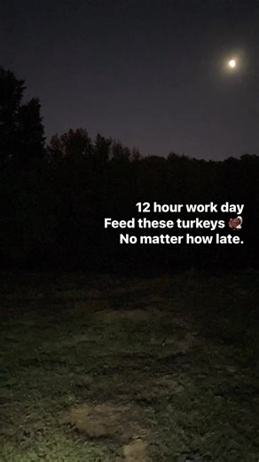 #farmlife #mississippiturkeyfarm #petturkey | Terri Leigh Woods