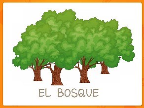 El bosque
