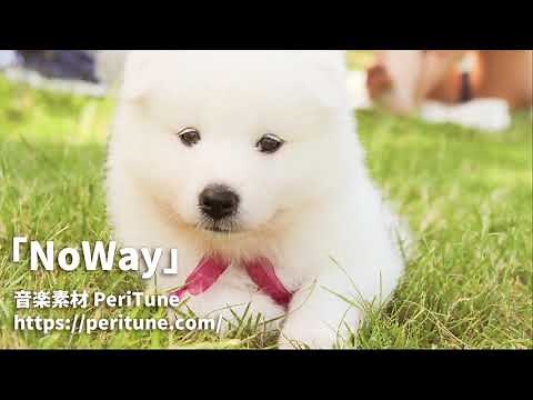 【無料フリーBGM】転がるようなコミカルな曲「NoWay」