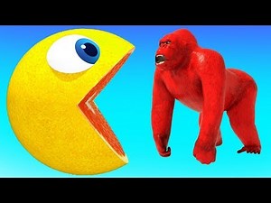 Pacman Watermelon Roll Fun Chase with Friends as he Found on Red Treasure and Pac Pj Masks #1942