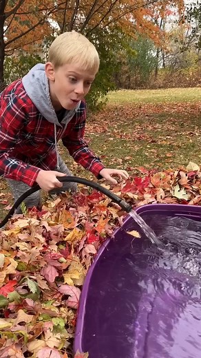 14K views · 43 reactions | Hilarious fall prank, so funny 藍""  This video was produced by Network Media and Benson Bros | Mr. Verde's Skits & Scenes | Facebook