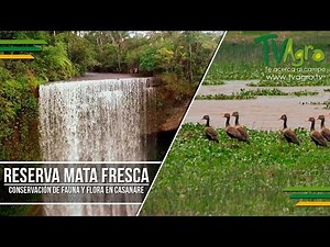 Mata Fresca Reserve: Conservation of Fauna and Flora in Casanare - TvAgro by Juan Gonzalo Angel