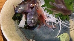 Freshness guaranteed: Fish on a platter comes alive, bites guests chopsticks in viral video - WATCH