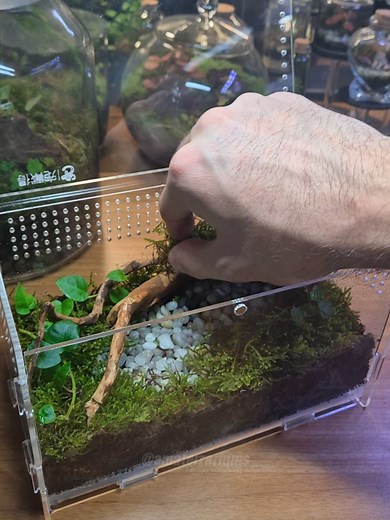 Which Animal Will Live in This Terrarium?