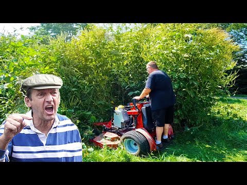 Extreme overgrown yard cleanup for a single mom | Incredible transformation!