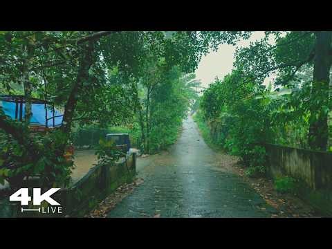 Nature-Filled Village Rain Walk 🌧️ | Soothing ASMR for Sleep & Meditation (Compilation)