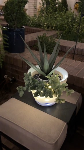 52K views · 237 reactions | If my husband can make this so can you  Easy DIY planter tutorial for your outdoor space or patio. This original video was produced by Wes and Alison. | Lazy Genius | Facebook