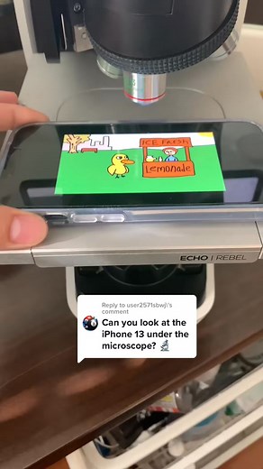 3.2M views · 31K reactions | iPhone under the microscope  #science #microscope #foryou #pixels | Justice Dodson Microscopy | Facebook