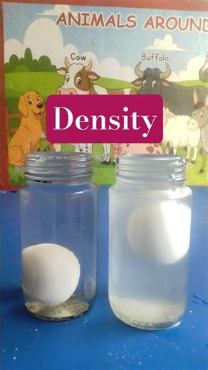 Density experiment Magic Of Science ll Experiments for primary students ll Science Day Celebrations