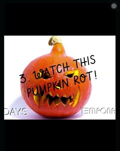 THREE THINGS U CAN DO IN SFS!