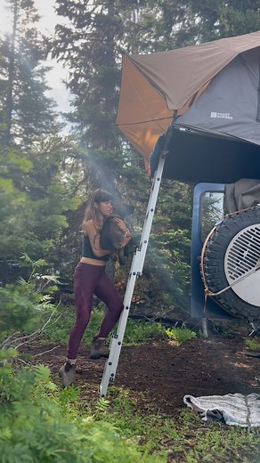 Eva zu Beck on Instagram: "Just one of the ways in which my life has recently changed 😅"