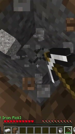 This Minecraft House is ILLEGAL