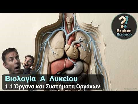 Βιολογία Α Λυκείου - 1.1 Όργανα και Συστήματα Οργάνων