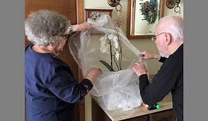 AI's Digital Necromancy: Now They're Exploiting Grief for Profit