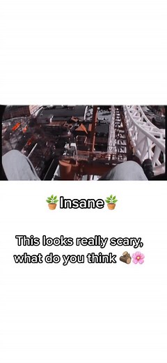 ✨Insane✨ #gronalund