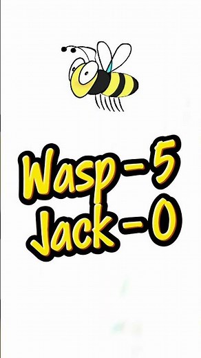 Wasp vs Karter #karting #racer #tracklife #fyp #funny #ouch