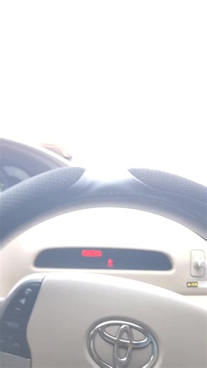 #msu #university #zimuniversitystudents #zimbabwetiktok