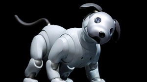 Sony brings back the robot dog AIBO after putting it down more than a decade ago