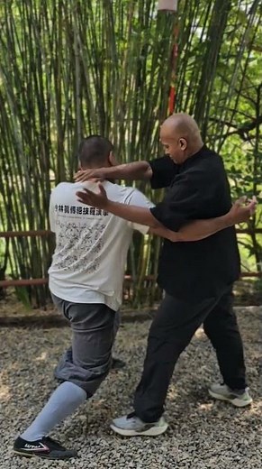 Shaolin Xinyiba #xinyiba #shaolintemple #combat #shaolinkungfu #shaolin #selfdefense #shifukanishka