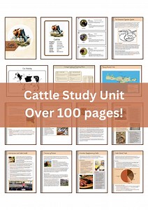 Cattle Study Unit for Middle School (ages 11-14), Metric - Etsy UK