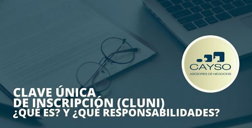 🥇 ¿Qué es CLUNI? Y ¿Cuáles son sus responsabilidades?