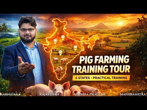 Kyaa aap bhi suar paalan se laakho kamana chahte hai ?? Pahle Training lijiye #swastikpigfarm