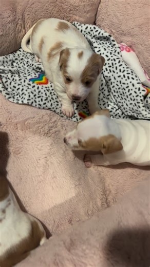 1.4K views · 291 reactions | Happy Thursday, everyone! We wanted to...