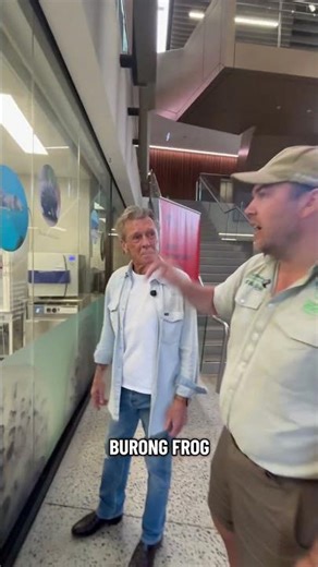 Inside Taronga Zoo’s Secret Lab: Saving Endangered Frogs with IVF 🐸🔬