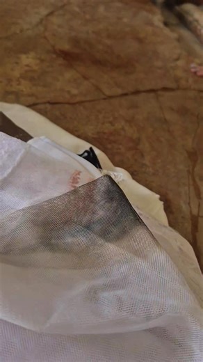 87K views · 4.7K reactions | Hanan Salib on Reels | Facebook