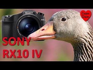 SONY RX10 IV Photography TEST Samples in 4K - Photos are shot HANDHELD & "OUT OF THE CAM"