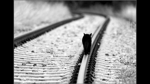 The Cranberries - Dreams