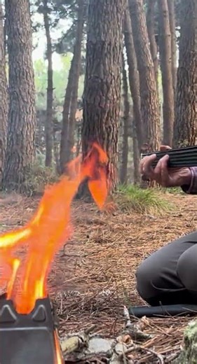 Solo Music by the Campfire | Forest Bushcraft Moment 🔥🌲
