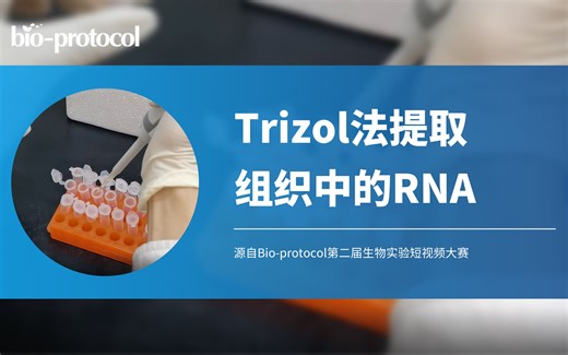 【Bio-protocol】Trizol法提取组织中的RNA