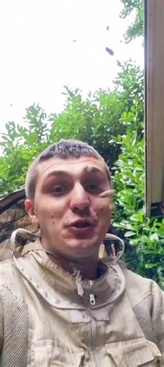 Experience the Buzz: Birmingham Honey Farm Beekeeping Journey